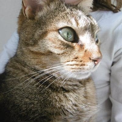 Loïs Blanc